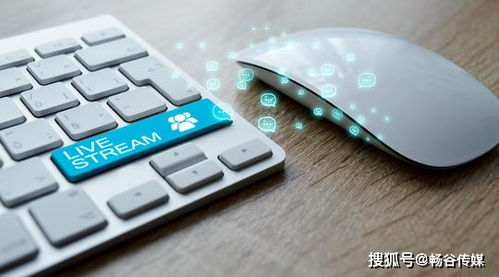 畅谷解读 互联网时代，聚焦软文推广的无限优势